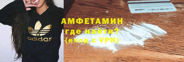 МДПВ Бородино