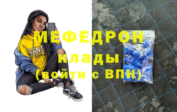 МДПВ Бородино
