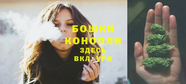 МДПВ Бородино