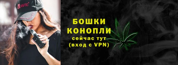 МДПВ Бородино