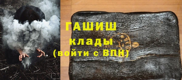 МДПВ Бородино