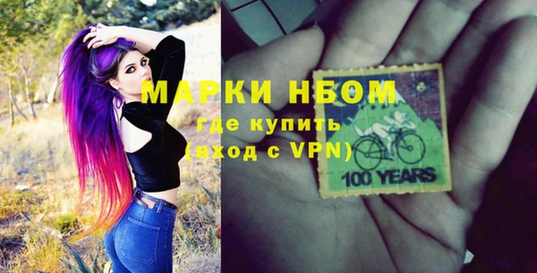 МДПВ Бородино