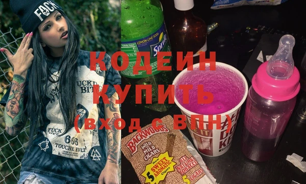 МДПВ Бородино