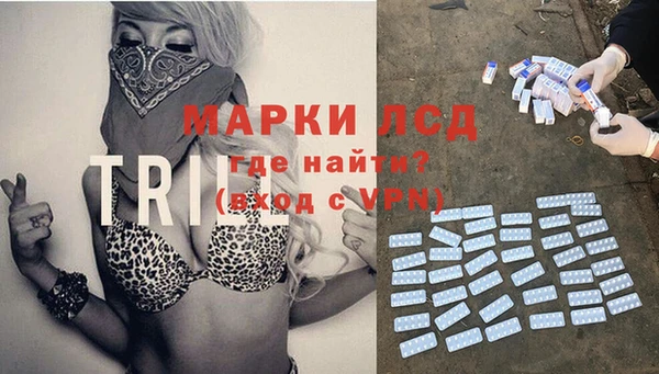МДПВ Бородино