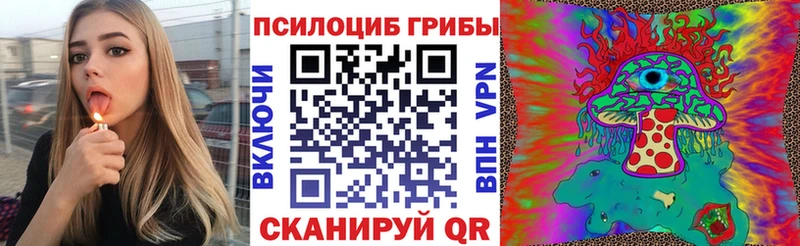 Галлюциногенные грибы MAGIC MUSHROOMS  Купить закладки  Багратионовск 
